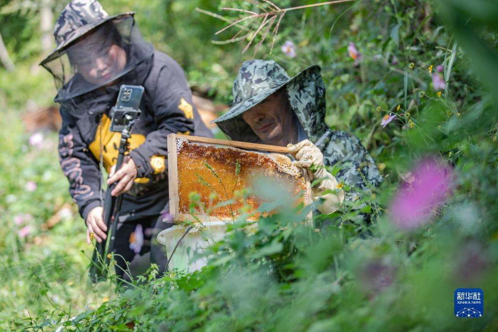 开户送白菜网址大全